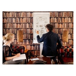 Digital whiteboard SMART Kapp