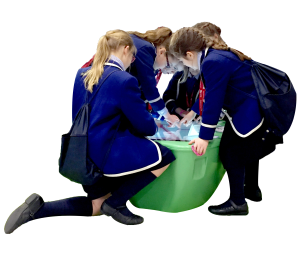 Interactive table